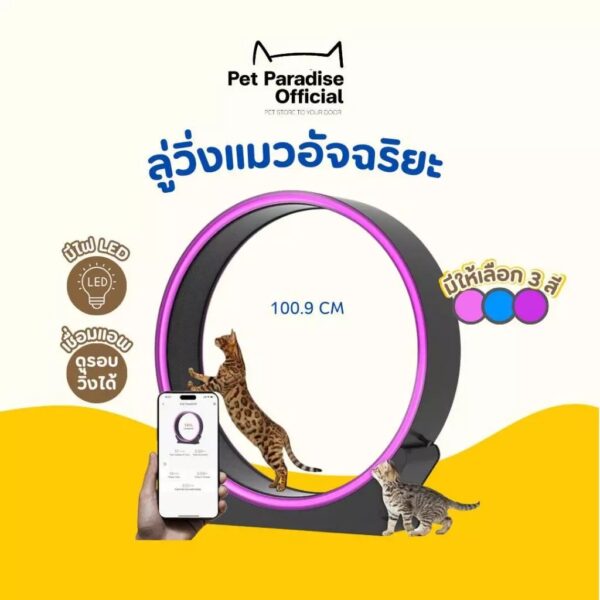 ลู่วิ่งแมว ลู่วิ่งแมวอัจฉริยะ ขนาดใหญ่ เชื่อมต่อแอพ วัดแคลอรี่ได้