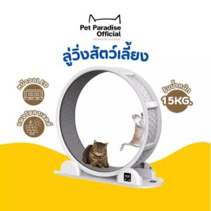 New!! ลู่วิ่งแมว Cat Treadmil ของเล่นแมว ลู่วิ่งสัตว์เลี้ยง รับน้ำหนักได้ 15Kg.